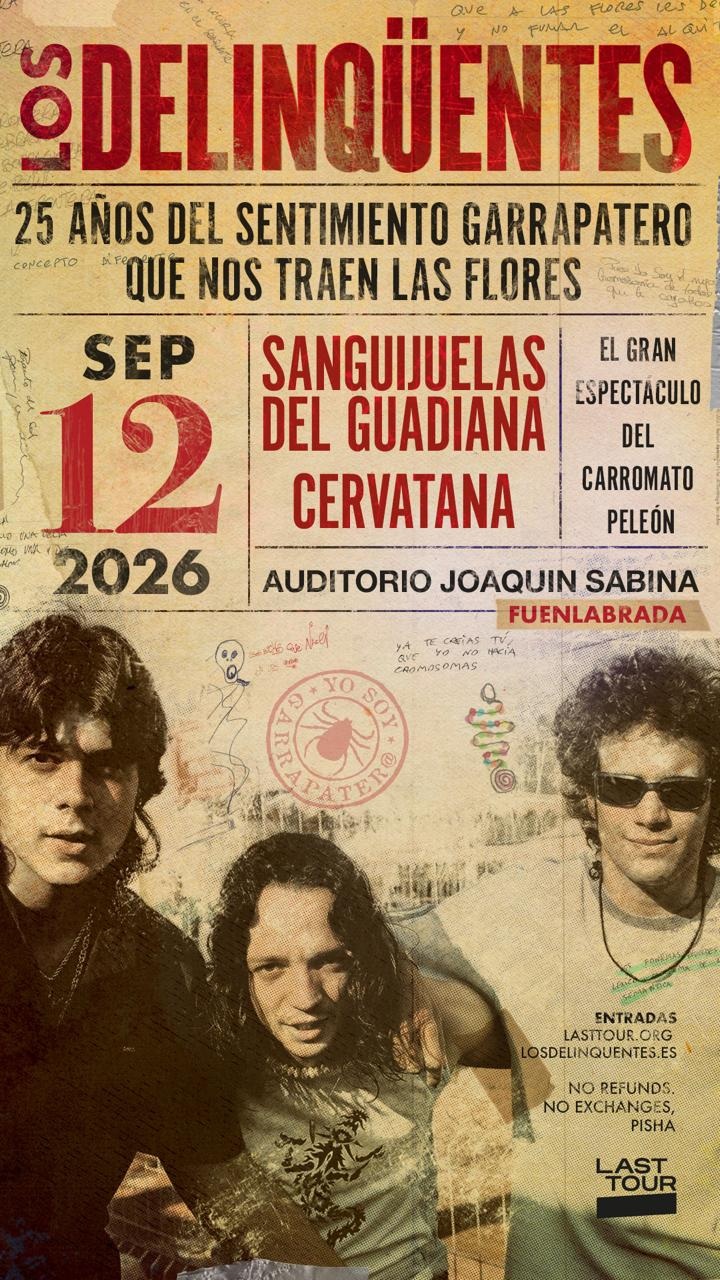 Cartel del concierto