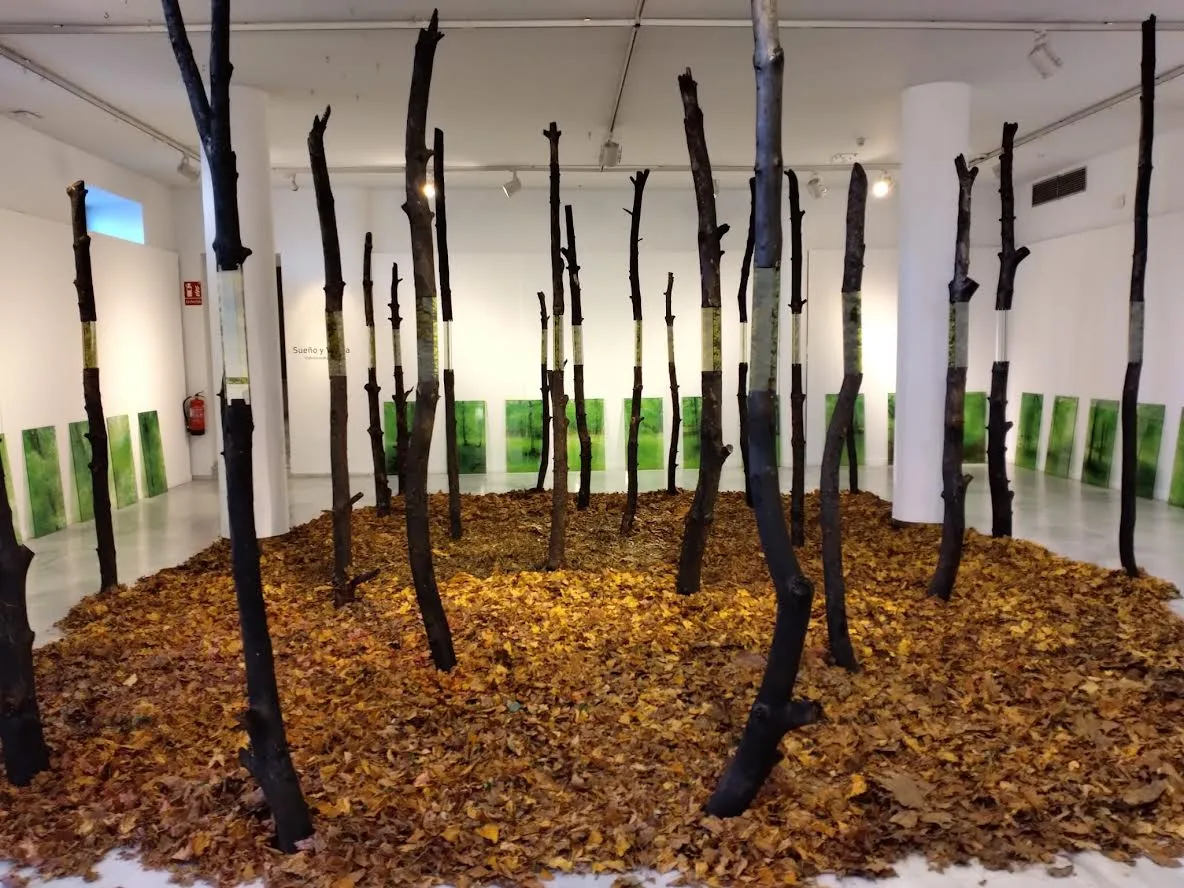 Imagen de la instalación El Bosque Secreto