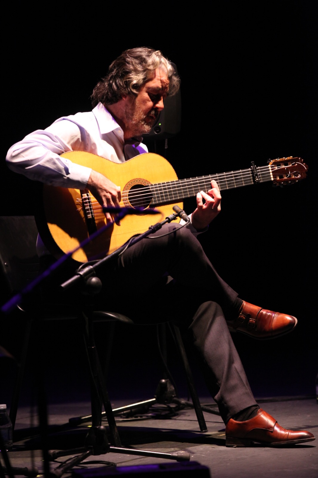 Un guitarrista de flamenco actuando en un escenario