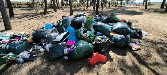 Jornada sobre la gestion de los residuos textiles 25112024