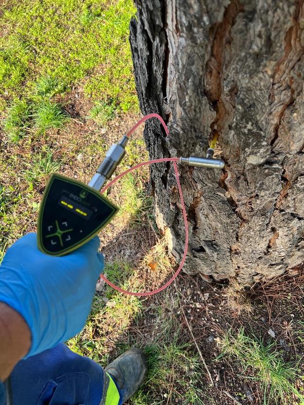 Operario aplicando el tratamiento de endoterapia