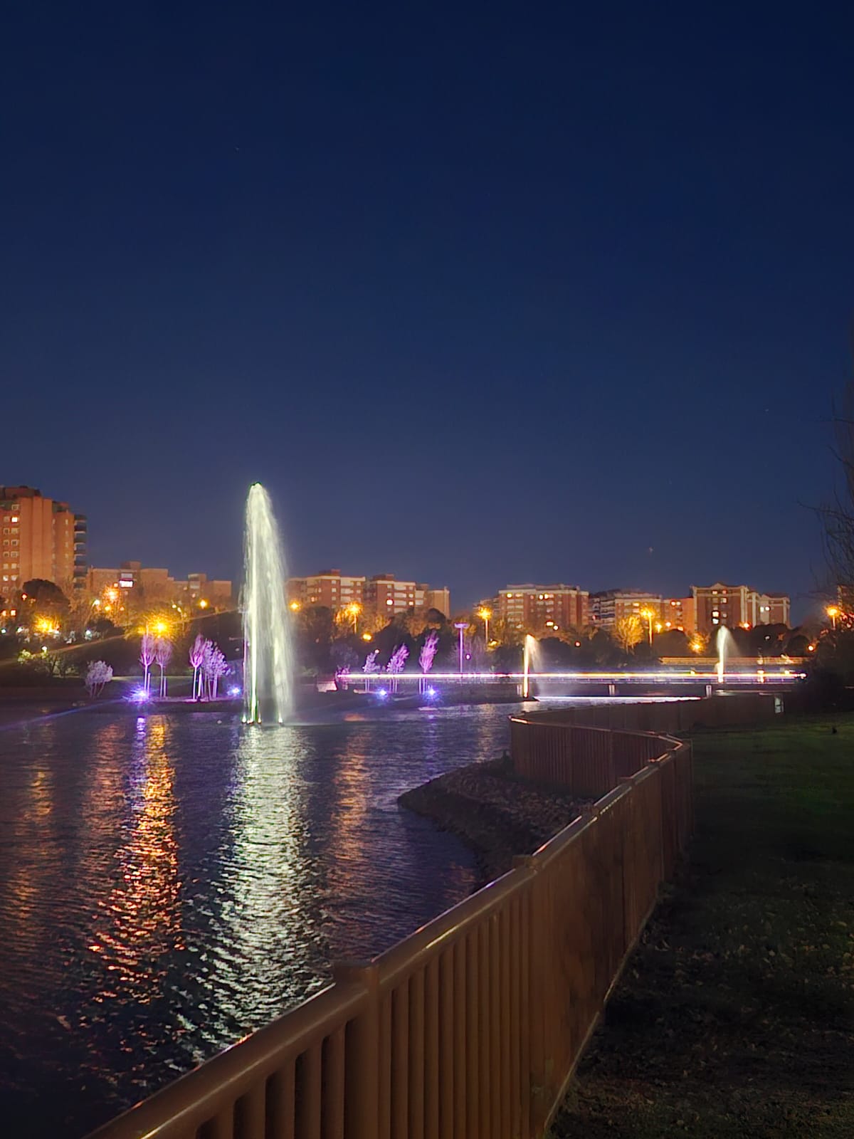 Imagen nocturna del parque renovado 