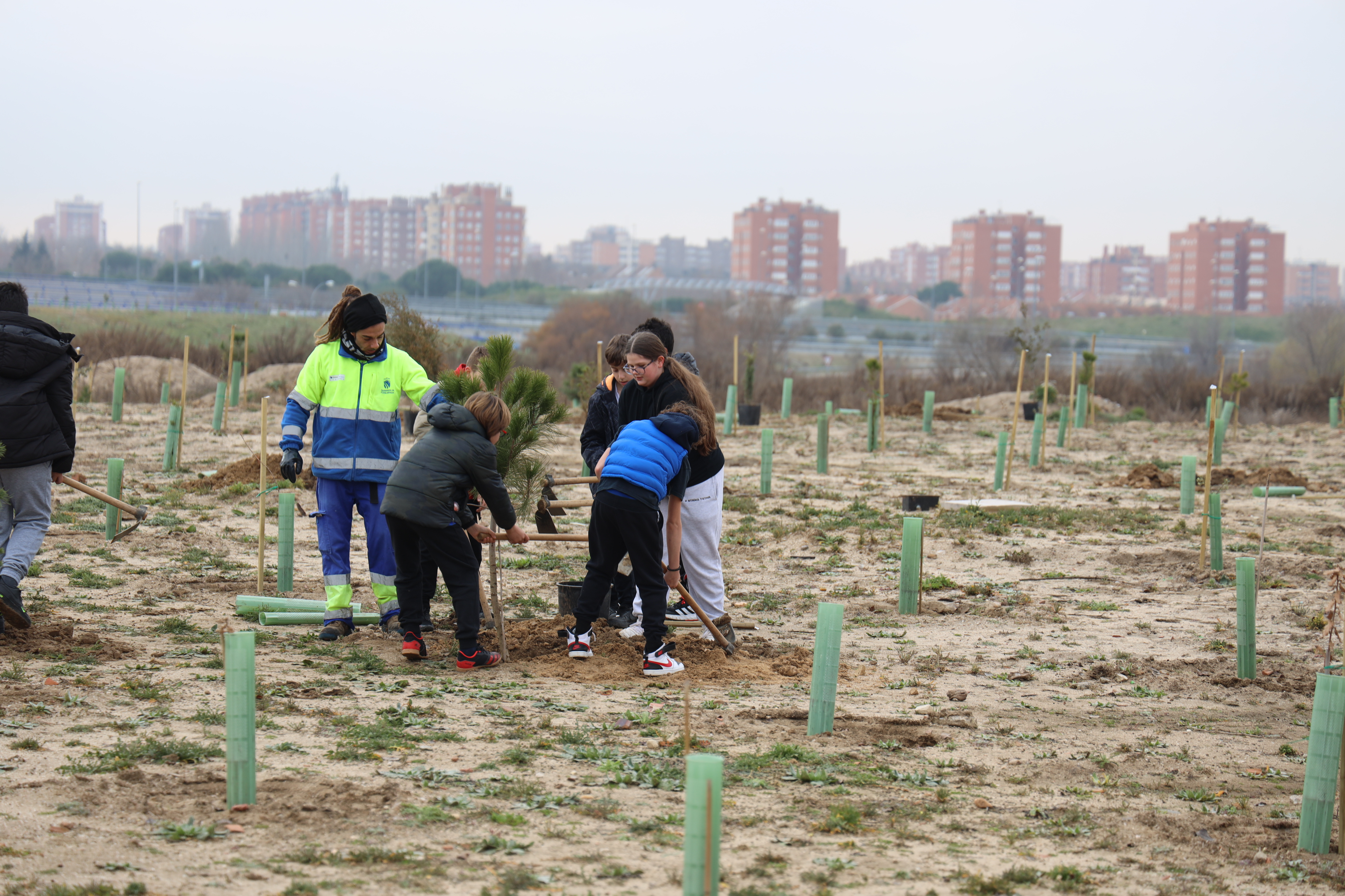 Reforestación ultimos cuatro años