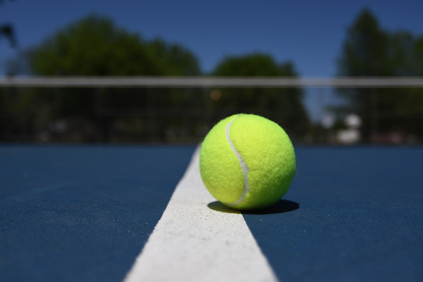 Pelota de tenis