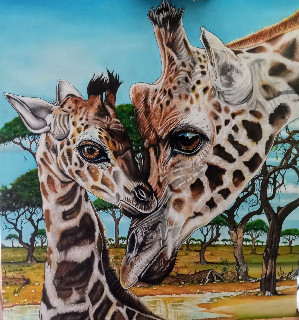 Ilustración de dos jirafas