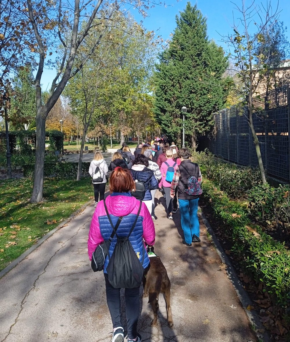 Senderistas caminando por un parque
