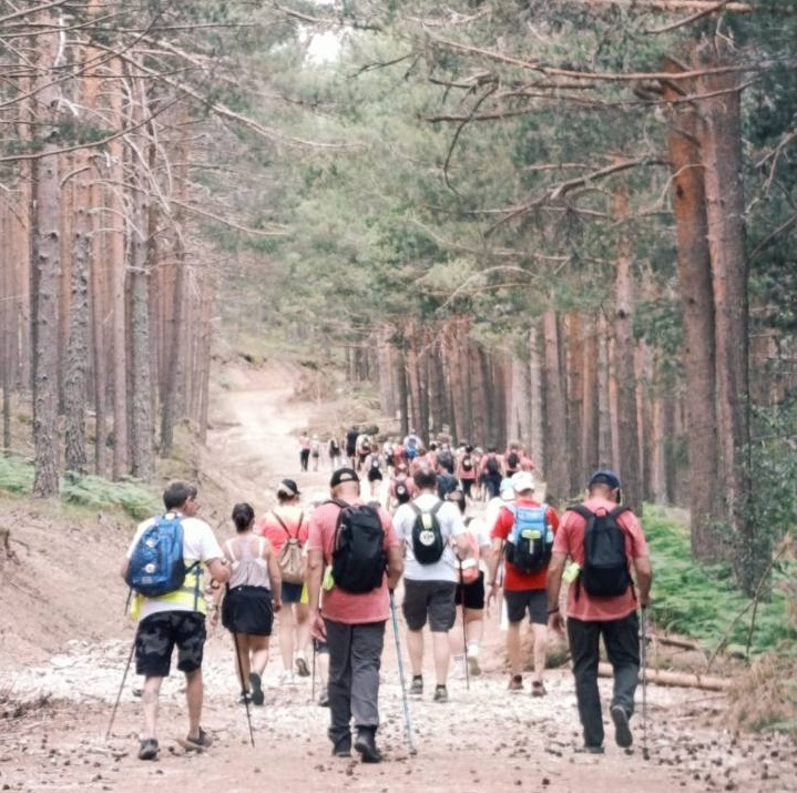Senderistas por un camino