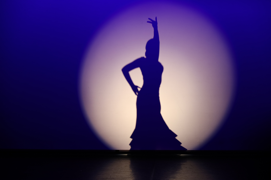 Gala de la Danza 03042025