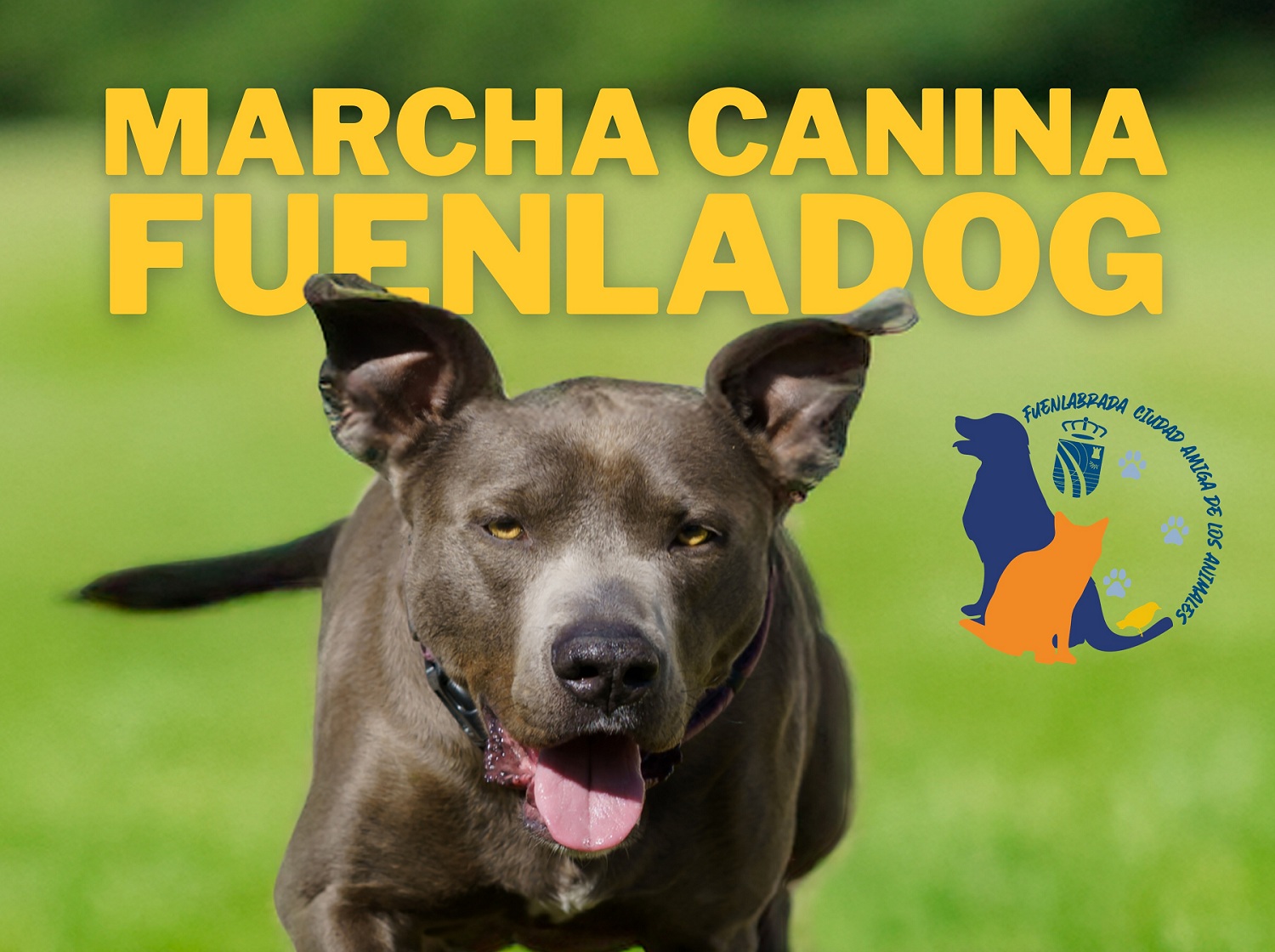 Detalle del cartel de la Marcha Canina Fuenladog