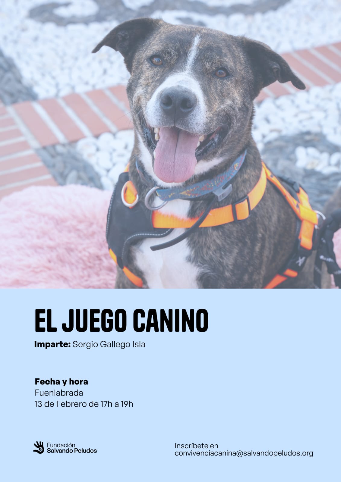 Cartel de la charla del 13 de febrero