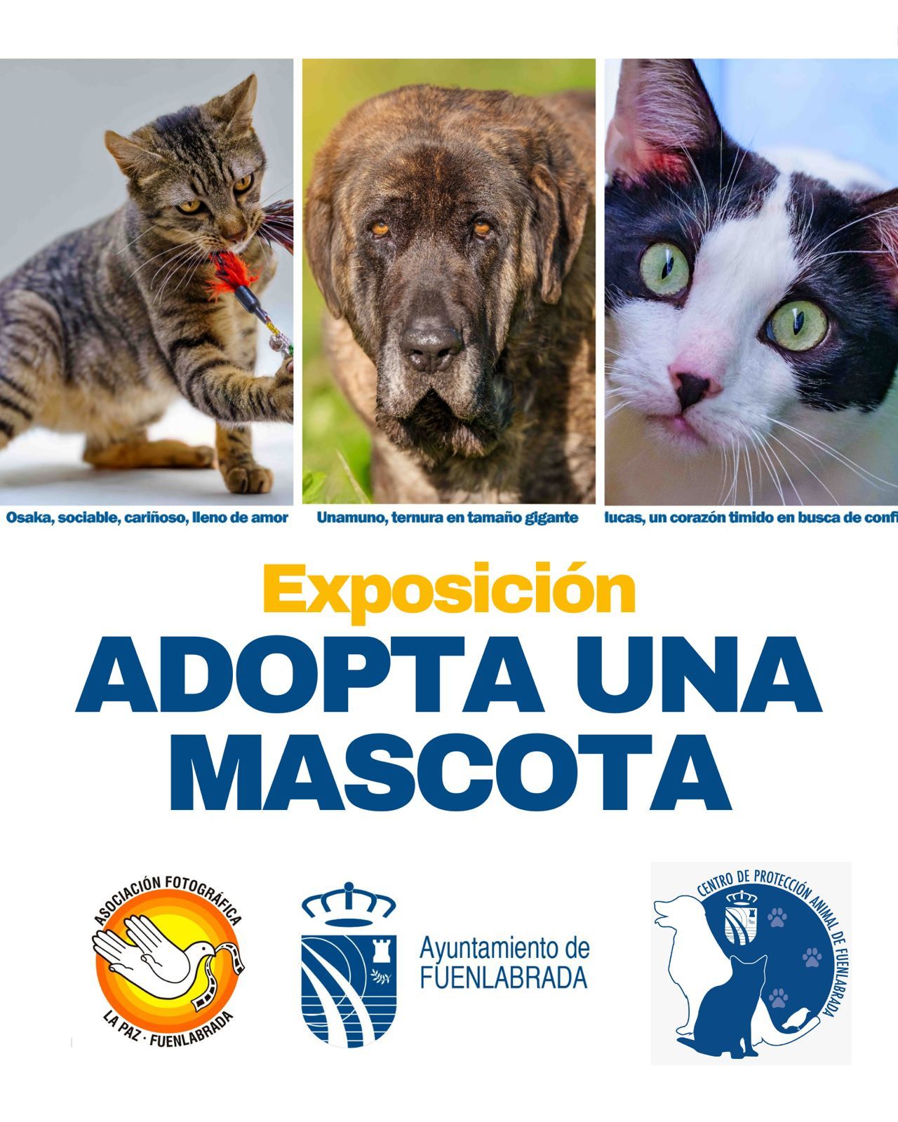 Cartel de la campaña