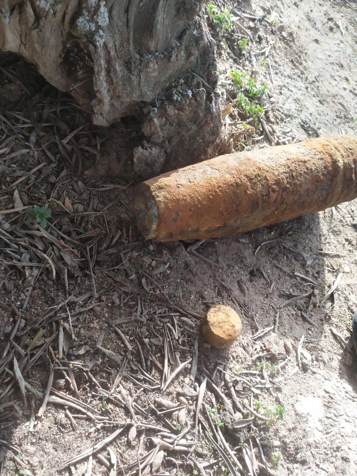 Aparece un proyectil de la Guerra Civil en el Parque del Olivar