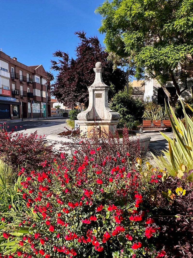 Plaza Cruz de Luisa
