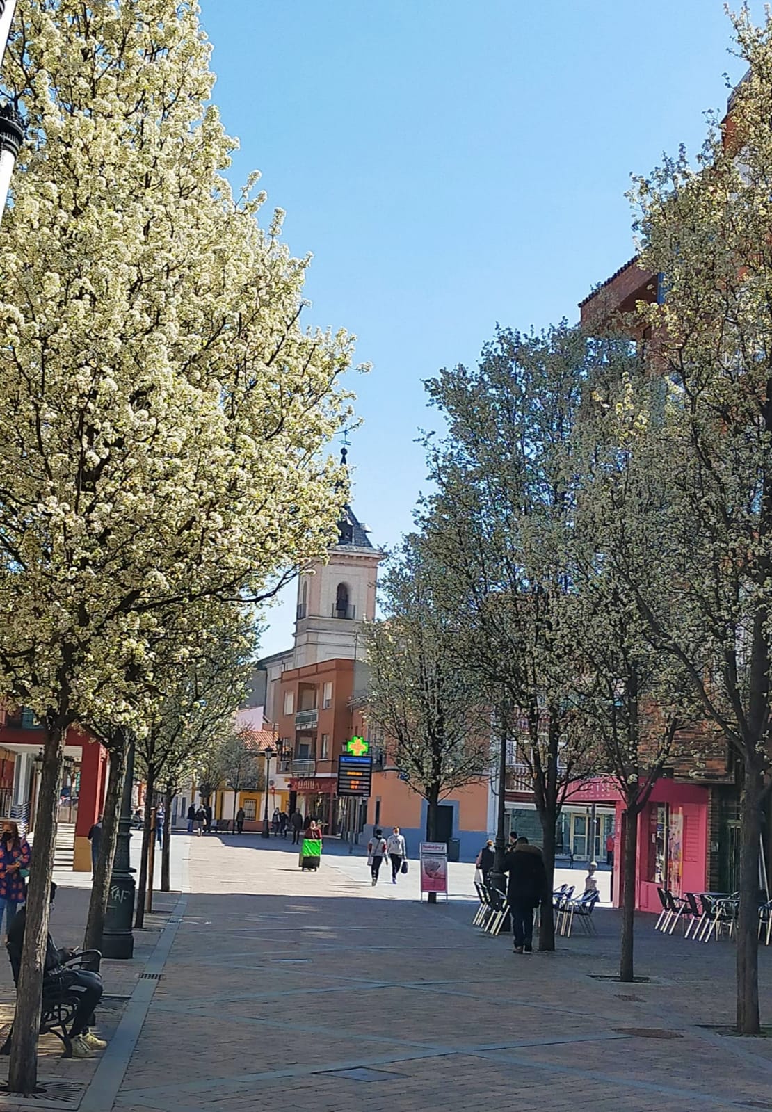 Calle peatonal con gente paseando