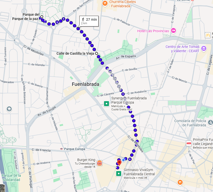 Mapa con el itinerario de la marcha