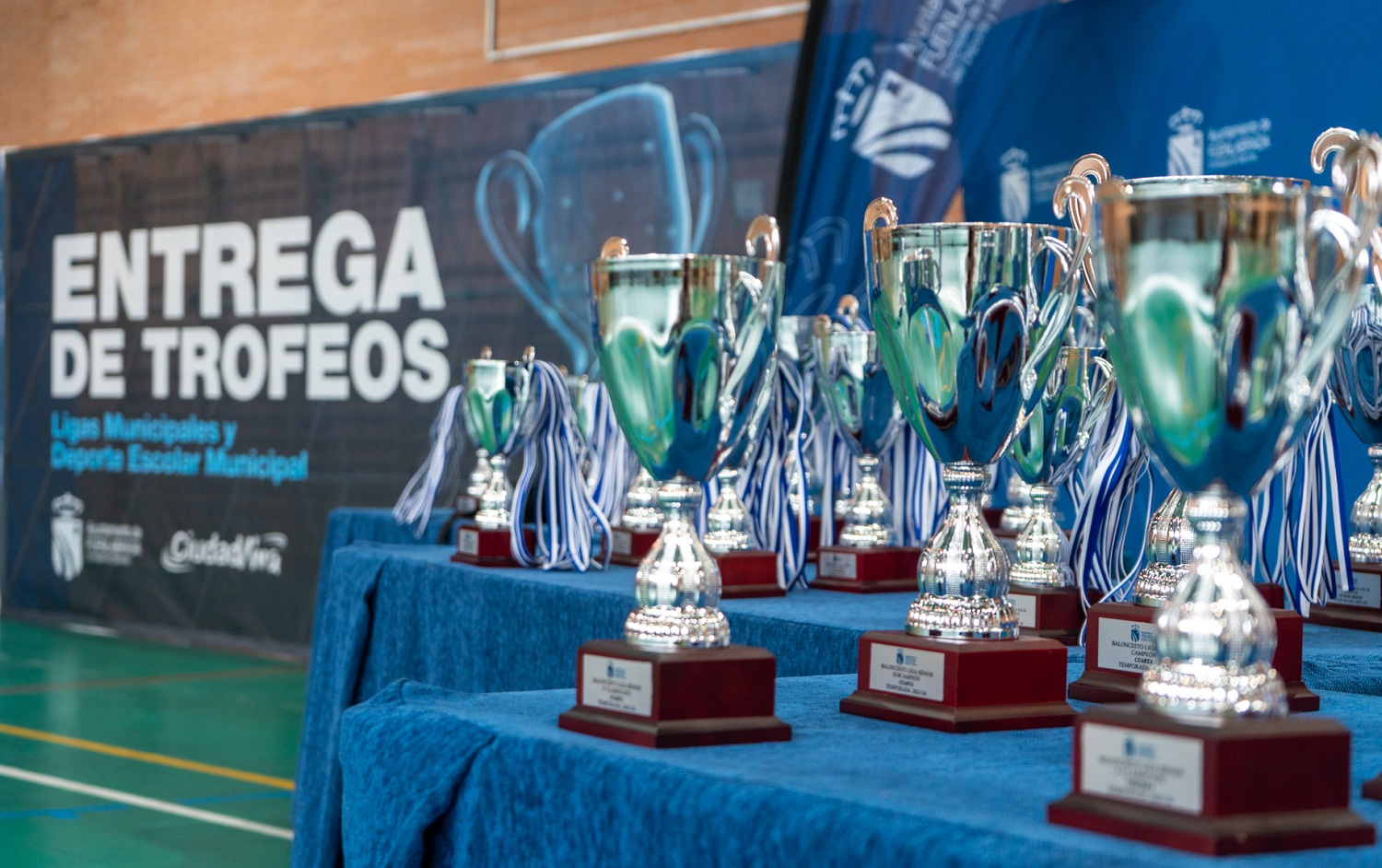 Se entregan los trofeos y medallas de las ligas municipales y deporte escolar 17-06-2025