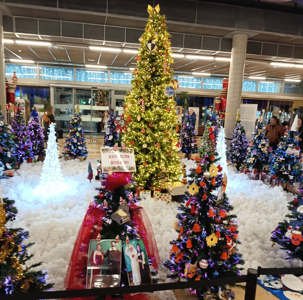 Exposición de árboles de navidad