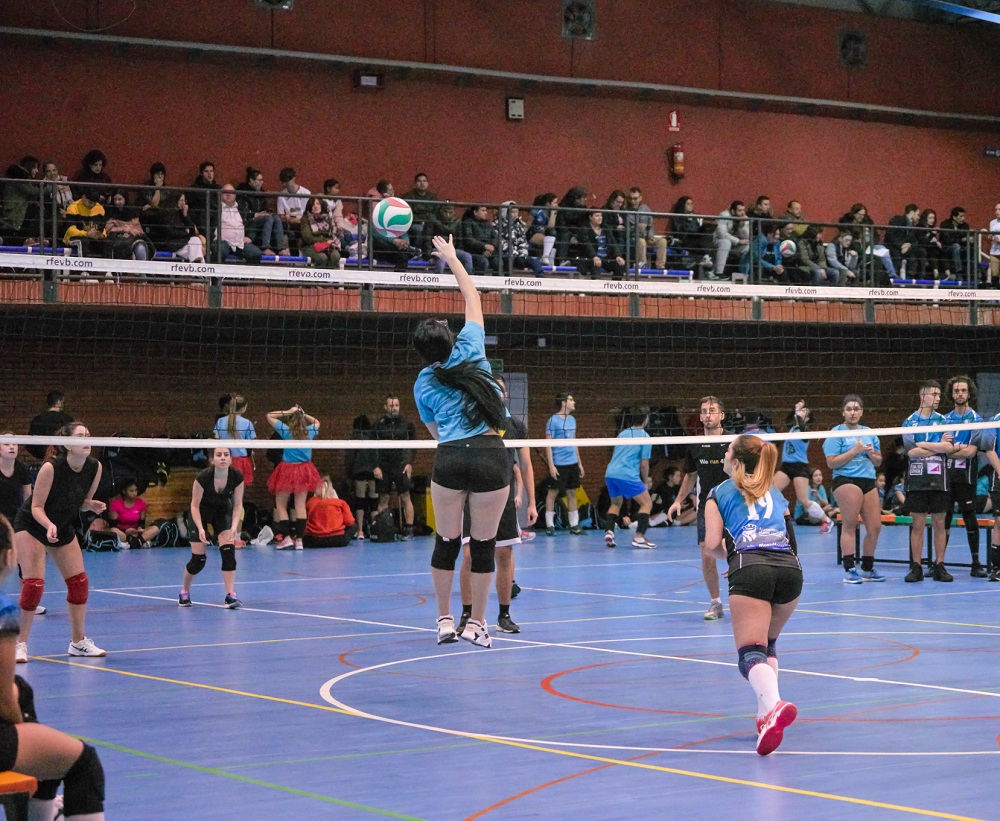 Torneo de Navidad de Voleibol