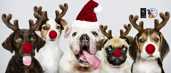 Photocall de mascotas