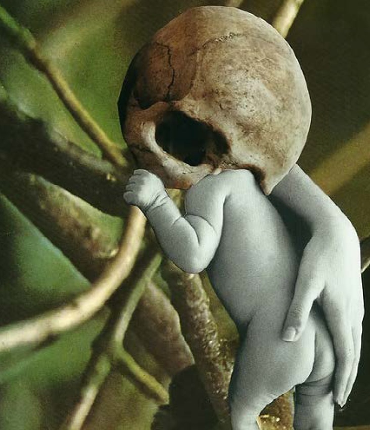 Obra de Javier Magerit