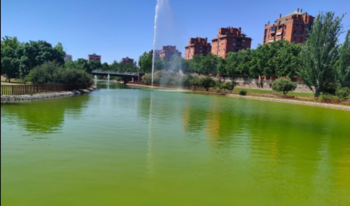 Fotografía del Lago de Loranca de Manuela Camacho Labrada