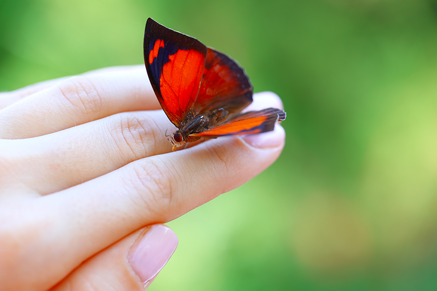 Te Quitaré lo que Más Quieres