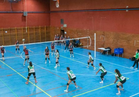 Fase Zonal Autonomica Juvenil Femenina de Voleibol