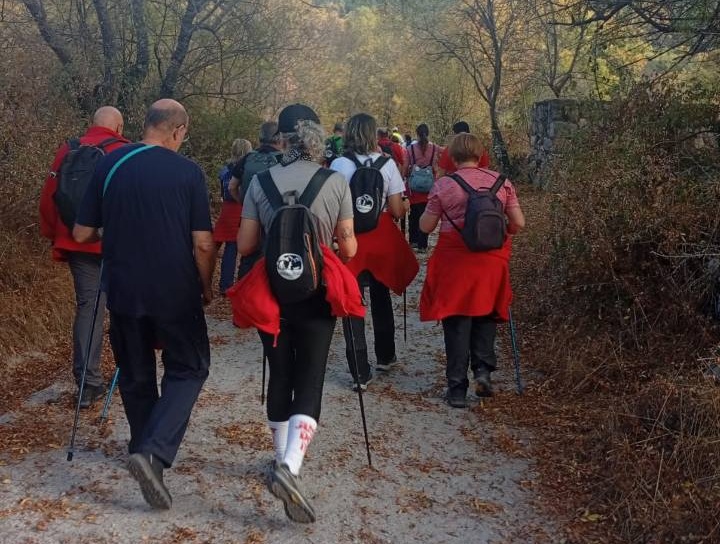 Personas realizando una marcha por el monte