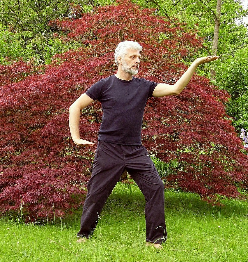 Imagen de MichaelRaab en Pixabay. Hombre practicando Tai Chi en un parque