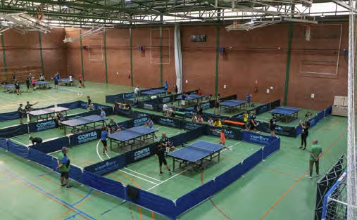 2026 Festival Table Tennis Tournament