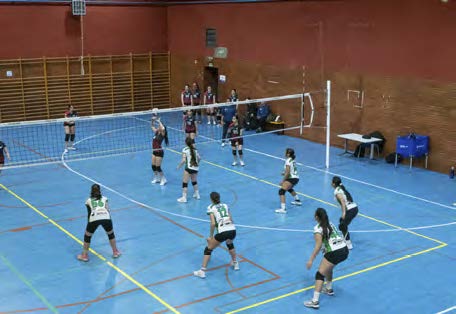 Torneo de Voleibol 