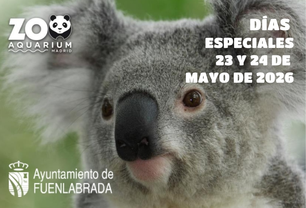 Cartel con la foto de un koala