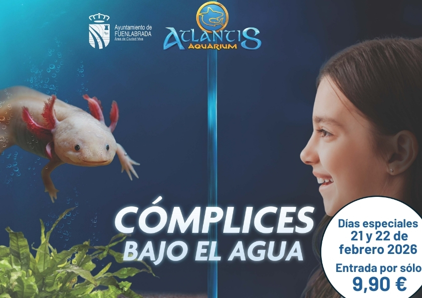 Precio especial Atlantis Aquarium feb26