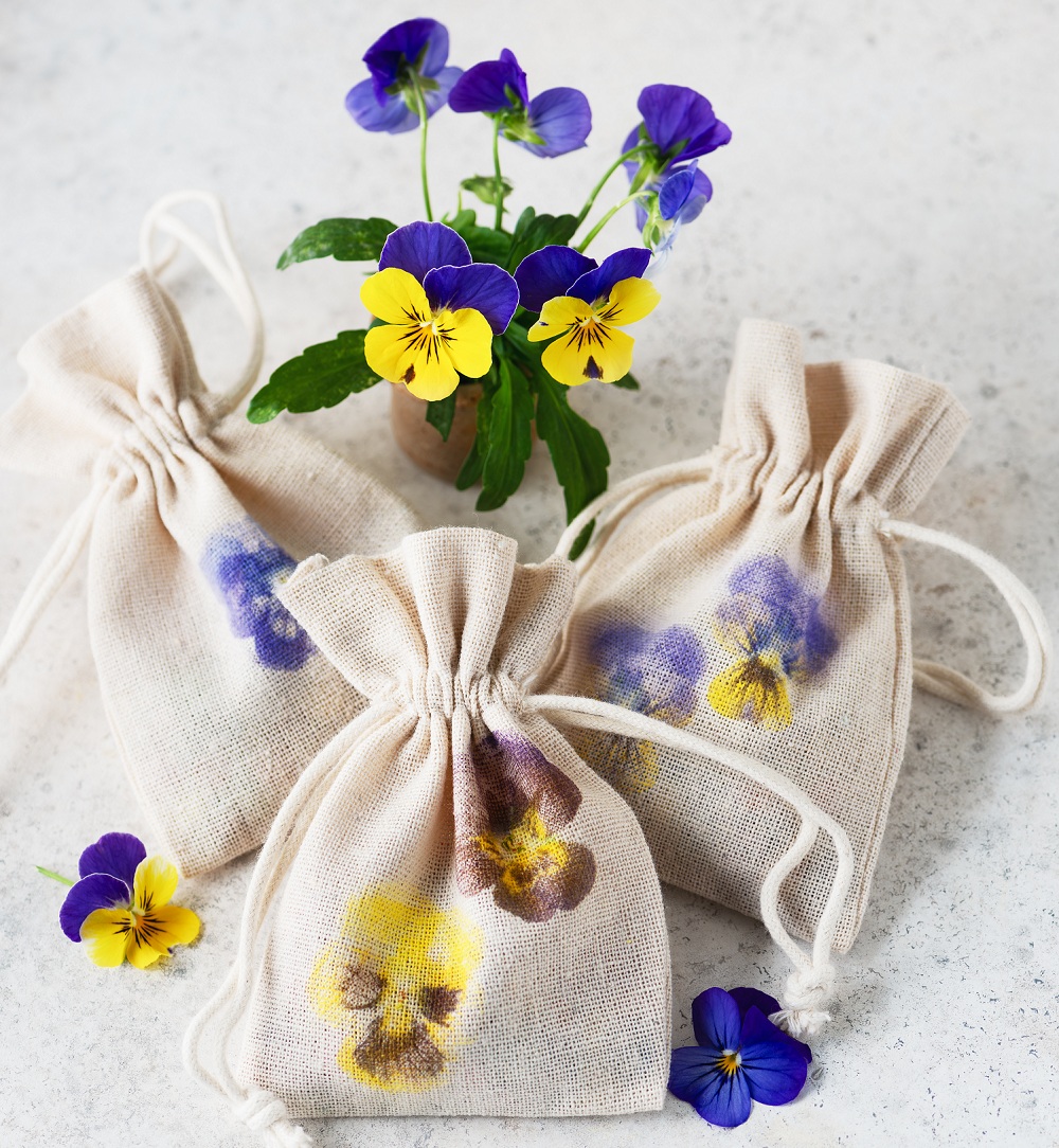 Fuenliexploradores - Estampado Botanico