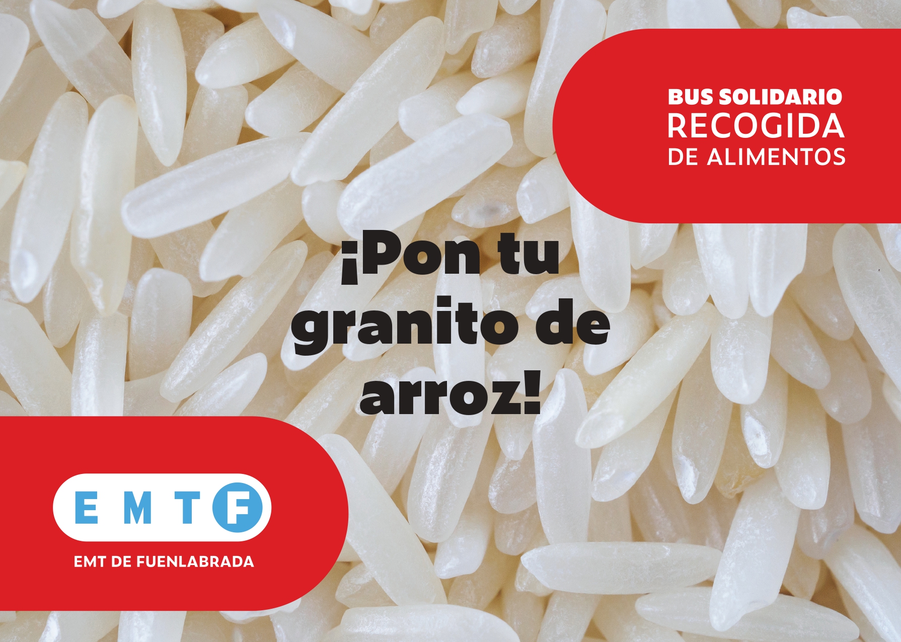 Cartel con un logotipo de la EMTF y lema de la campaña. ÇGranos de arroz de fondo