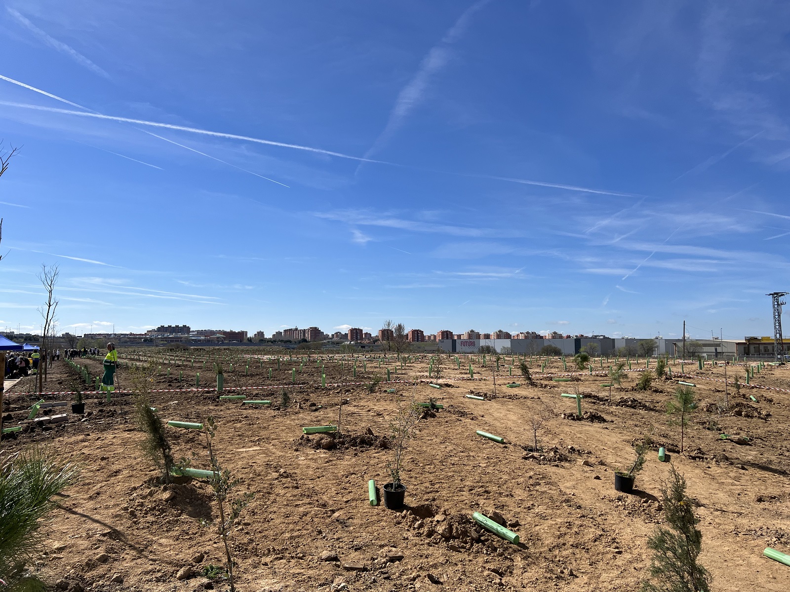 Plantación de árboles en el barrio Parque Miraflores