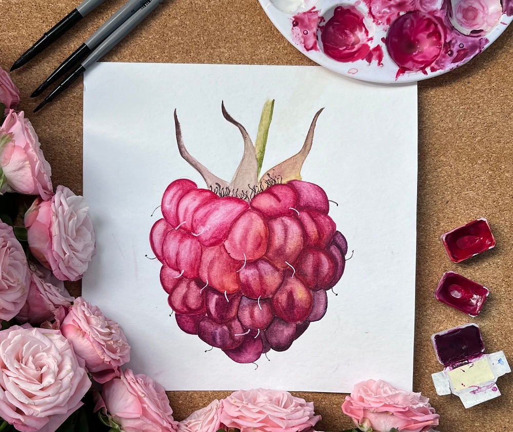 Ilustración de una frambuesa