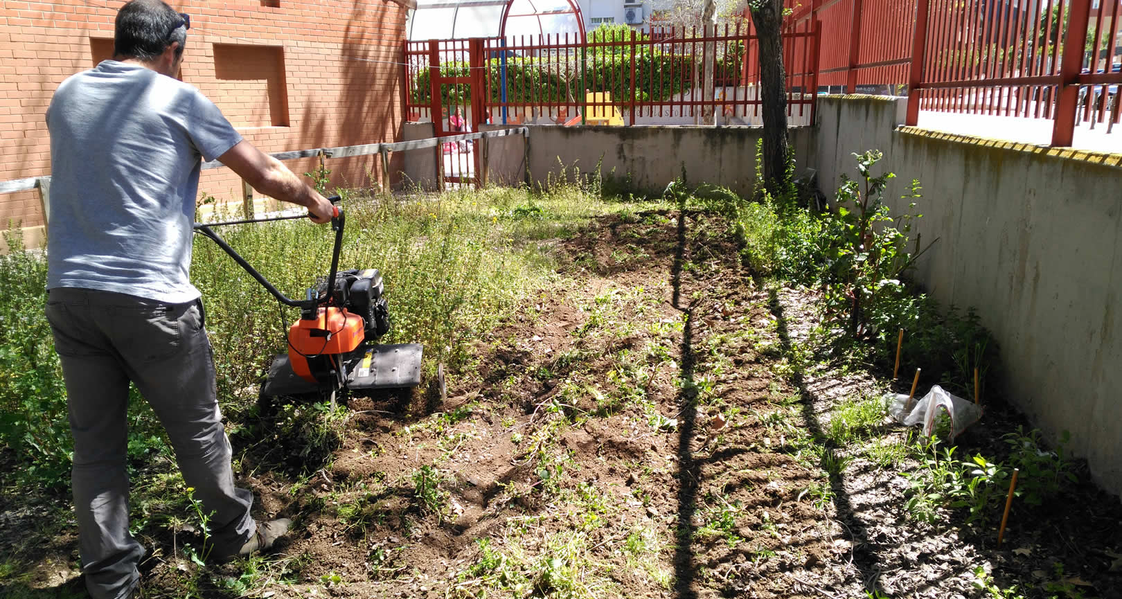 Persona con una desbrozadora en un huerto