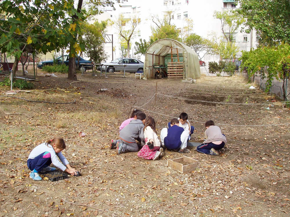 Niños trabajando en un huerto escolar