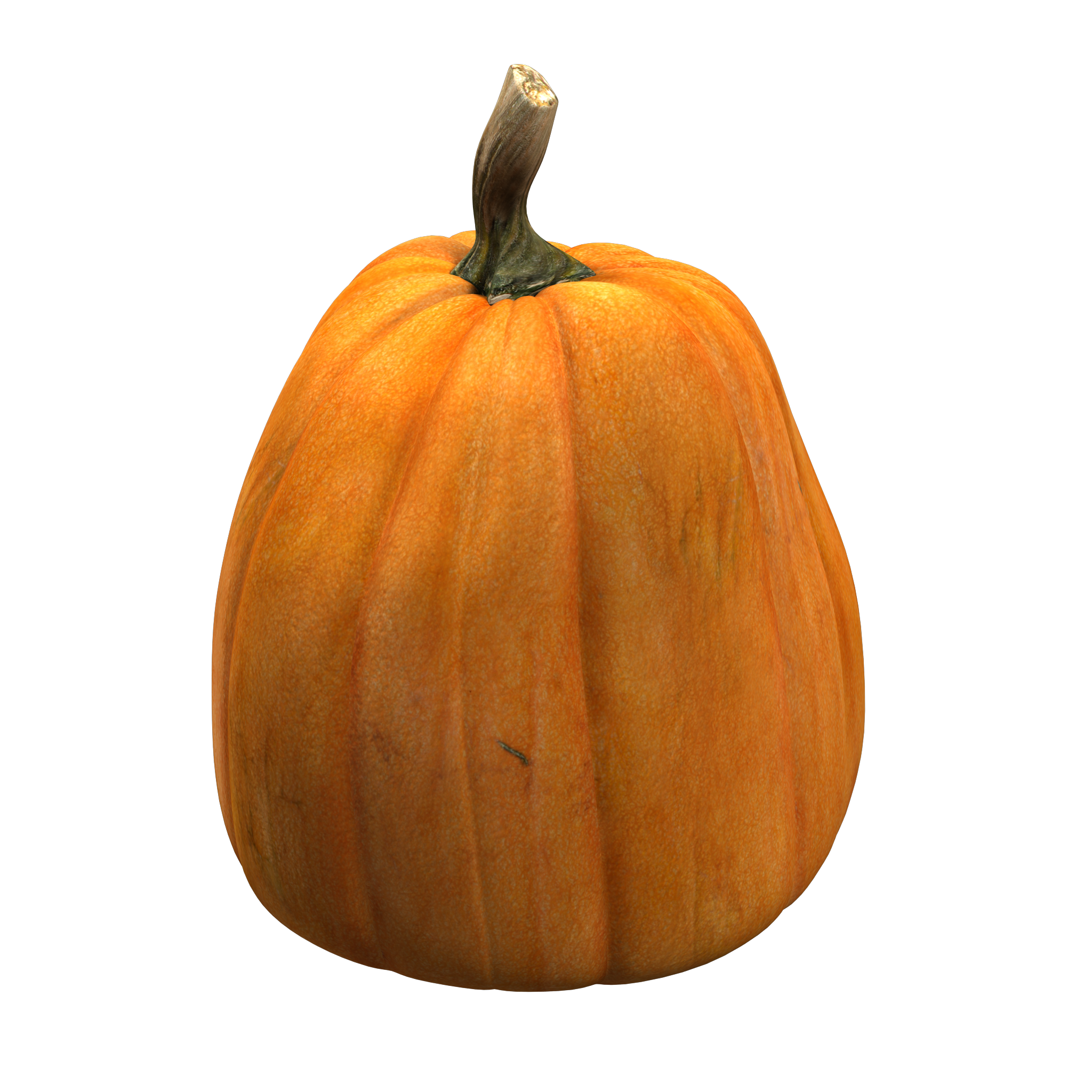 Calabaza