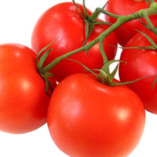 Tomates en rama