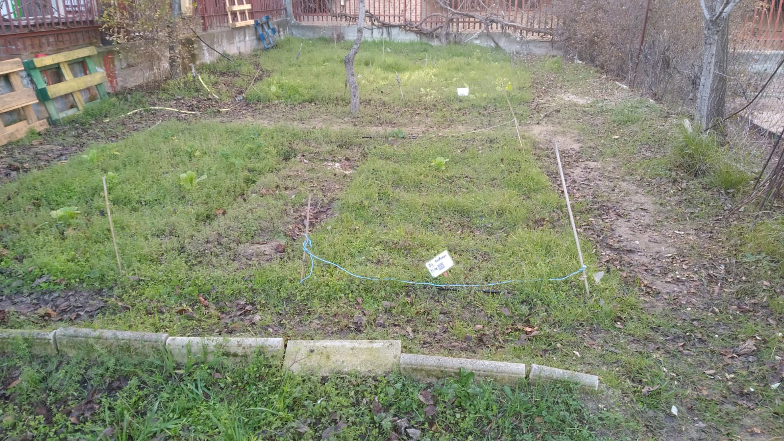 Un bancal del huerto del C.E.I.P. Benito Pérez Galdós