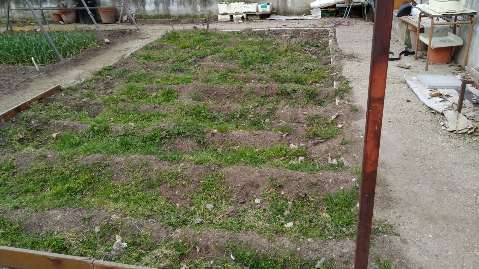 Un bancal sin labrar en el C.E.I.P. John Lennon