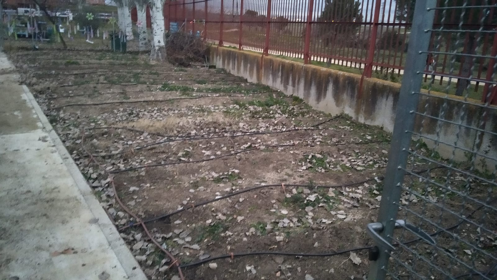 Parte del huerto del C.E.I.P. Juan XXIII sin labrar