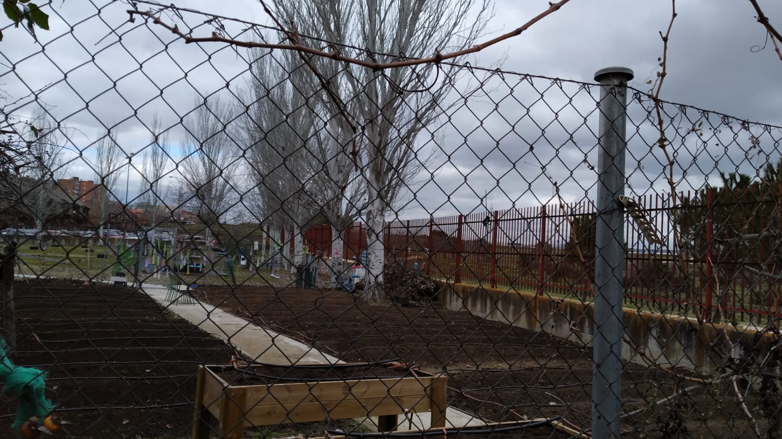 Imagen del huerto del C.E.I.P. Juan XXIII labrado