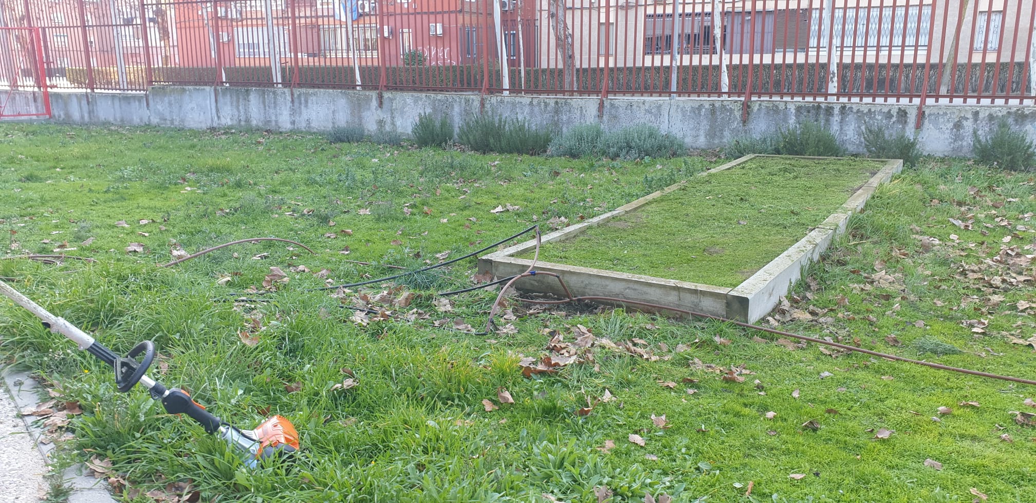 Imagen de la zona de un bancal en el C.E.I.P. La Rayuela sin labrar