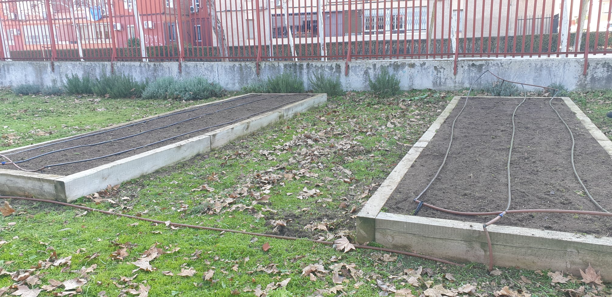 Detalle de dos bancales en el C.E.I.P. La Rayuela labrados y con el riego instalado