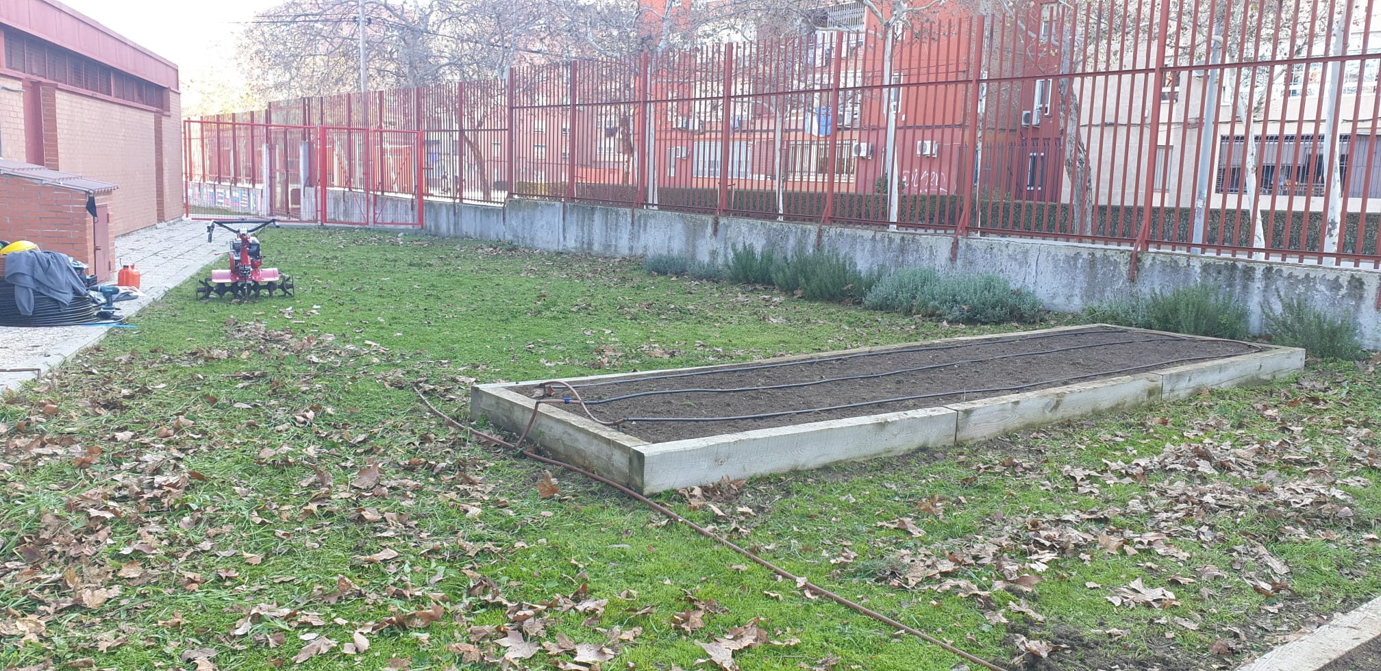 Imagen de un bancal en el C.E.I.P. La Rayuela labrado y con el riego instalado