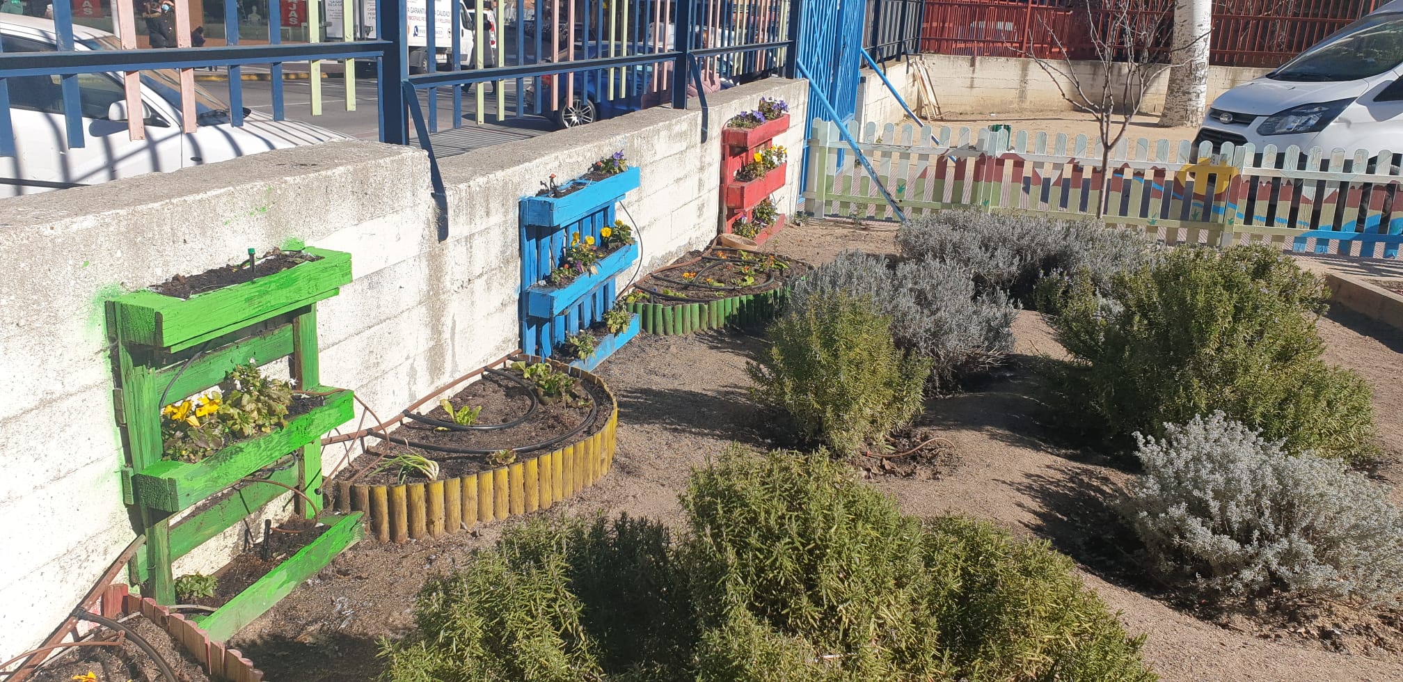 Detalle de plantas en palés y en bancales en el huerto del C.E.I.P. Miguel Hernández