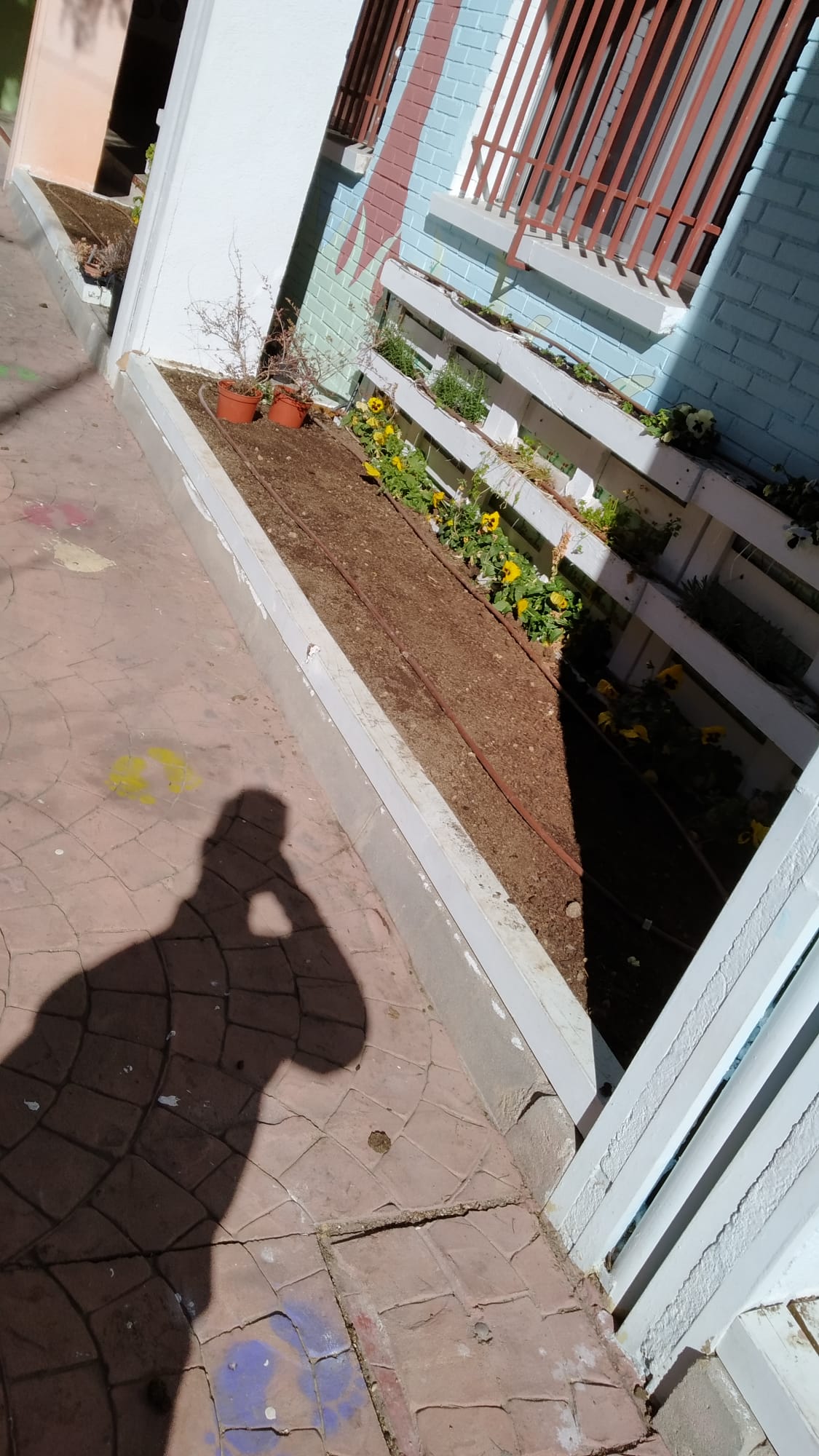 Detalle de un bancal en el huerto del C.E.I.P. Miguel Hernández